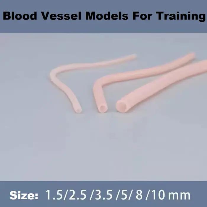 Modèles de vaisseaux sanguins humains, modèles de formation en chirurgie vasculaire pour la formatio