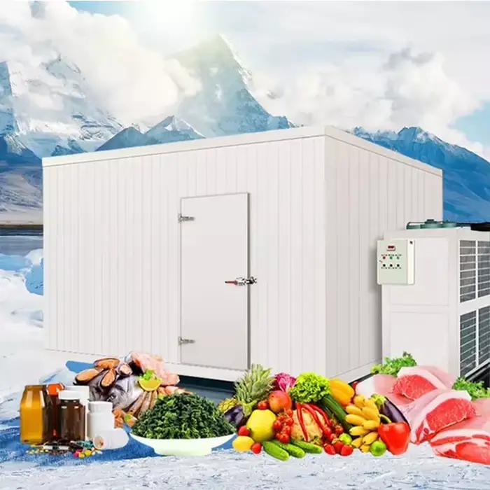 Chambre froide industrielle pour viande et poisson, entrepôt frigorifique pour bœuf, porc, agneau, v