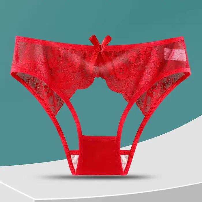 Lingerie Ajourée Transparente Femme Sous-Vêtements Charmants Culottes Slips Sexy Occasions Spéciales