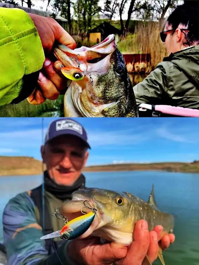 2025 nouveau Lurefans E-39 flottant manivelle appât méné leurre de pêche 39mm/4.8g profondeur 1.5-2.5m artificiel Wobbler bar de mer appât dur