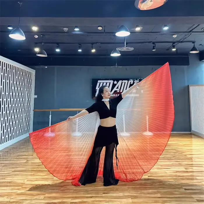 Ailes Isis de culte à 360 degrés pour adultes et femmes, Costume de danse du ventre professionnel égyptien, Cape de fée en mousseline douce dégradée