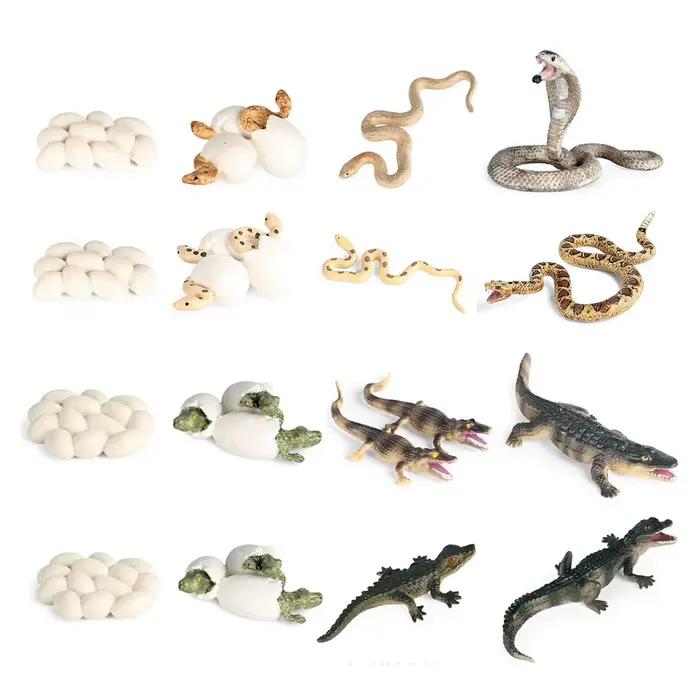 Cycle de vie figurines d'animaux ensemble Crocodile serpent Figurines d'animaux Anime figurine d'action animaux en plastique pour enfants enfants nouveaux jouets
