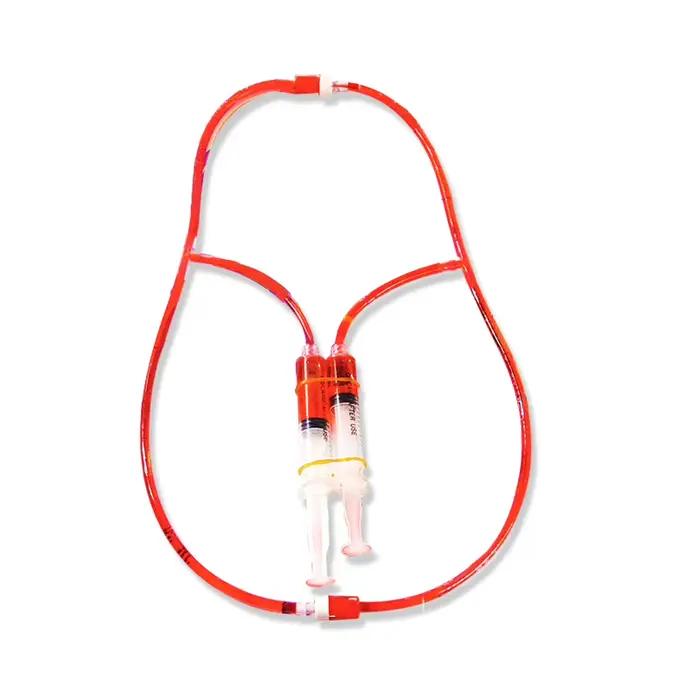 Kit scientifique STEM DIY : Modèle de circulation sanguine – Jouet éducatif pour l'apprentissage et l'enseignement de la biologie chez les enfants