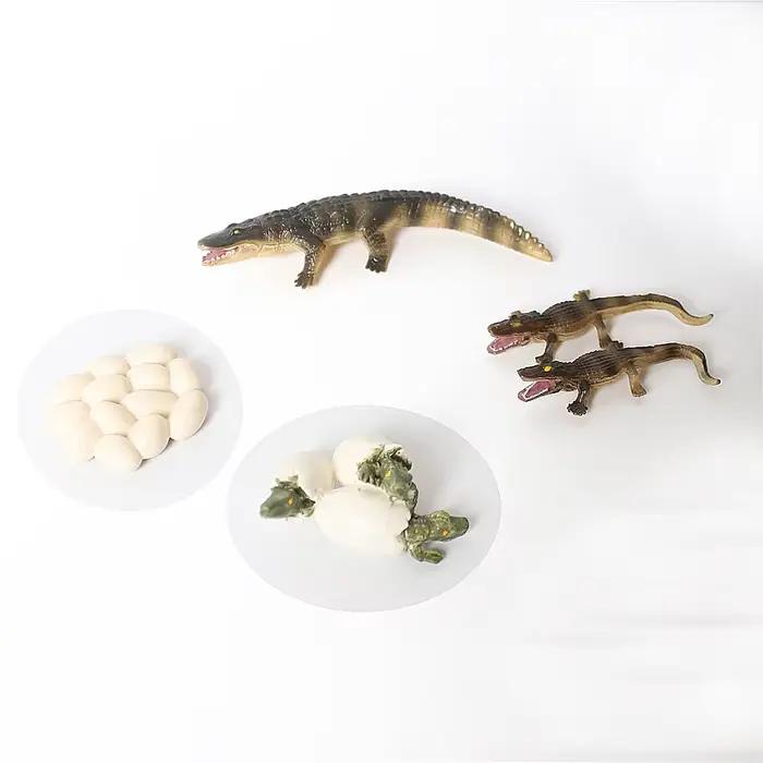 Cycle de vie figurines d'animaux ensemble Crocodile serpent Figurines d'animaux Anime figurine d'action animaux en plastique pour enfants enfants nouveaux jouets