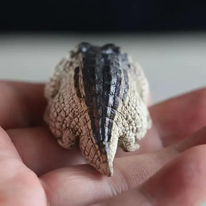 Figurine de Crocodile potelée mignonne, petits crocodiles réalistes, ornement de thé en résine, modèle d'animal de compagnie, décoration de maison, cadeaux Feng Shui amusants
