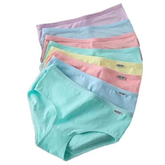 Culottes en coton pur pour femmes brèves taille moyenne douces et respirantes à offrir pour occasions spéciales et quotidienne