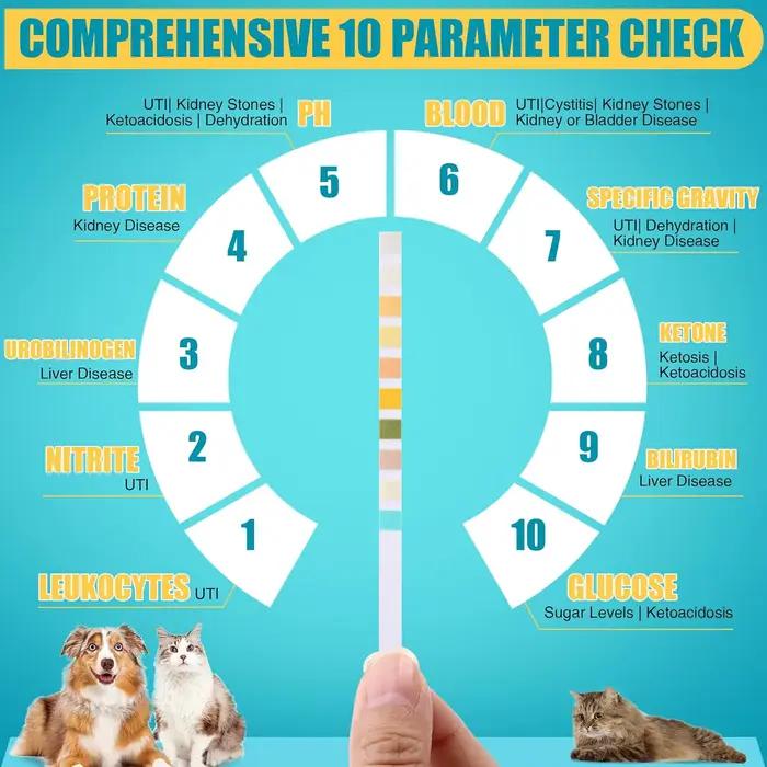 100 bandelettes de test d'urine pour animaux de compagnie, adaptées à la détection des infections urinaires chez les chats et les chiens, kit de test 10-en-1, bandelettes d'analyse urinaire multiparam