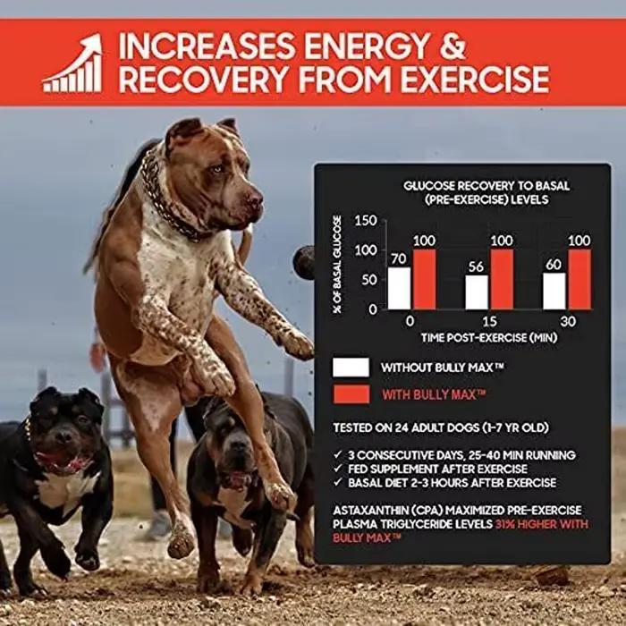Constructeur musculaire liquide 3 en 1 Bully Max pour chiots et chiens adultes, ​   Renforce les performances musculaires, la récupération d'endurance 16 oz