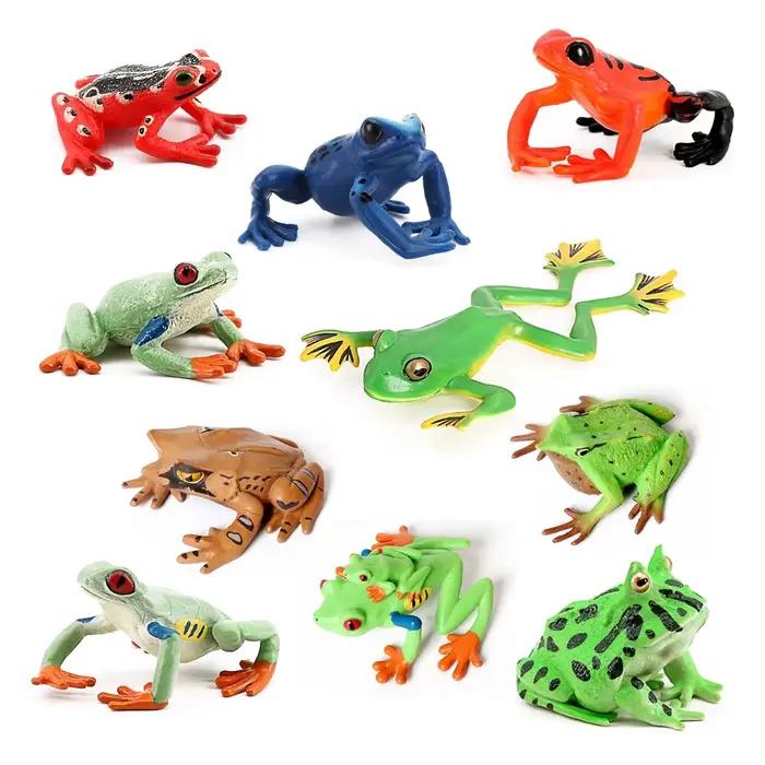 Figurines d'animaux de la forêt tropicale, grenouille d'arbre, grenouille taureau, jouet d'action Squishy, jouets pour enfants, cadeaux pour enfants