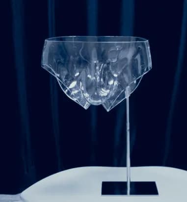 2025 sous-vêtements en plastique Transparent pour hommes hanches couture Cltoh Mannequin culotte cal