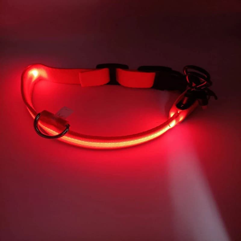 Collier de sécurité nocturne pour chien, veilleuse LED en Nylon, USB, clignotant automatique, Protec