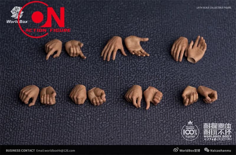 WorldBox 1/6 tableau d'action du corps des articulations masculines musculaires corps Durable AT011 