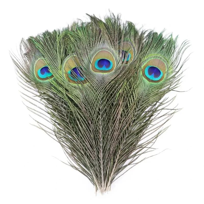 Plumes de paon véritables en vrac pour artisanat DIY, décoration de vases, mariage, spectacle, carna
