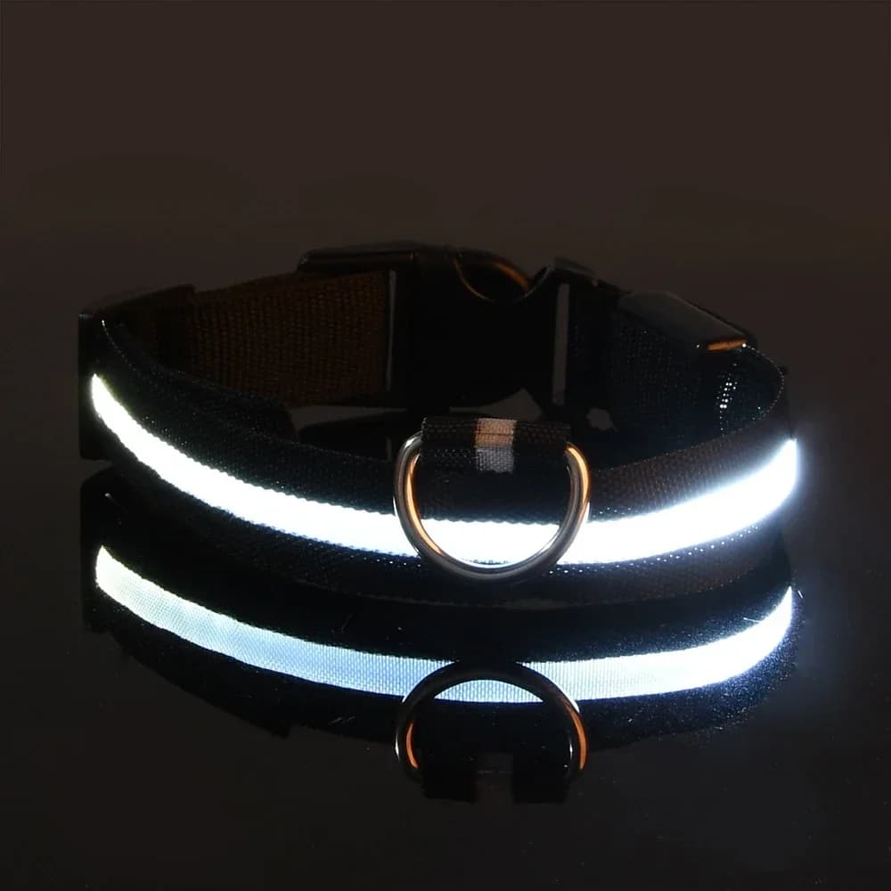 Collier pour chien en Nylon LED sécurité nocturne clignotant lueur dans la nuit laisse pour chien de