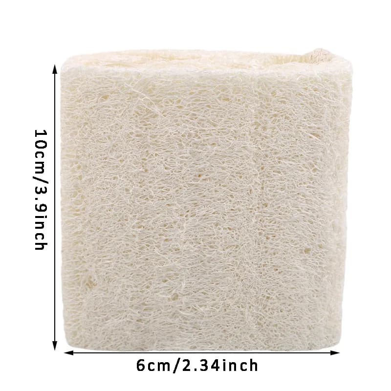 Loofahs organiques, épurateur exfoliant pour Spa, éponge de lavage du corps naturelle, élimine la pe