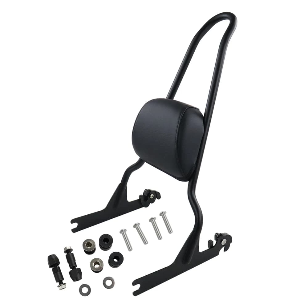 Appuie-tête détachable pour passager, compatible avec Harley Night Train EFI FXSTBI 2000-2006 CVO Pr