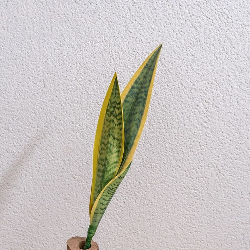 Plante serpent artificielle, aucun arrosage requis, décoration d'intérieur, installation facile, mat