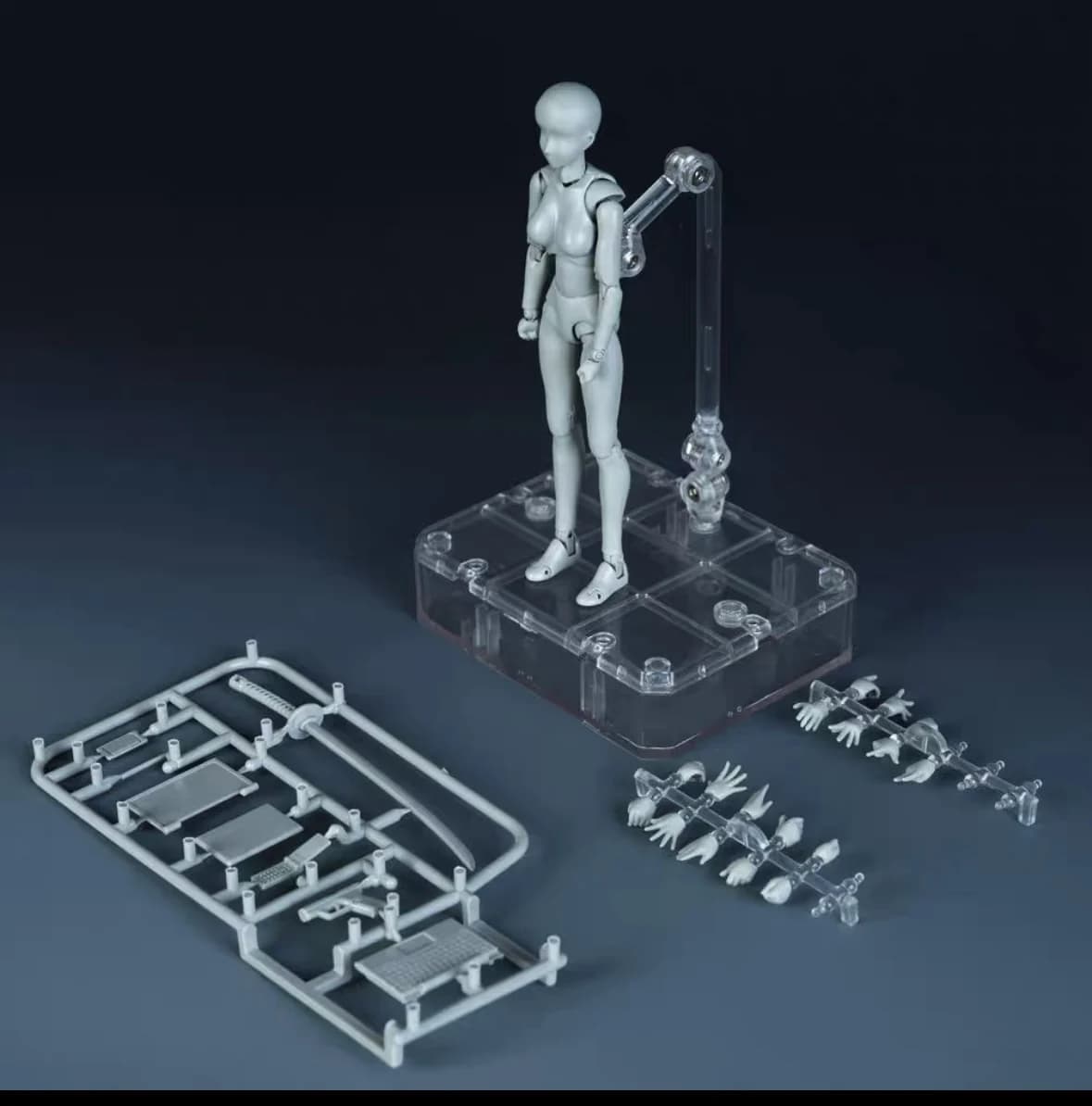 Joints mobiles SH Figuarts corps de Mannequin Kun modèle de figurines d'action pour dessin peinture 
