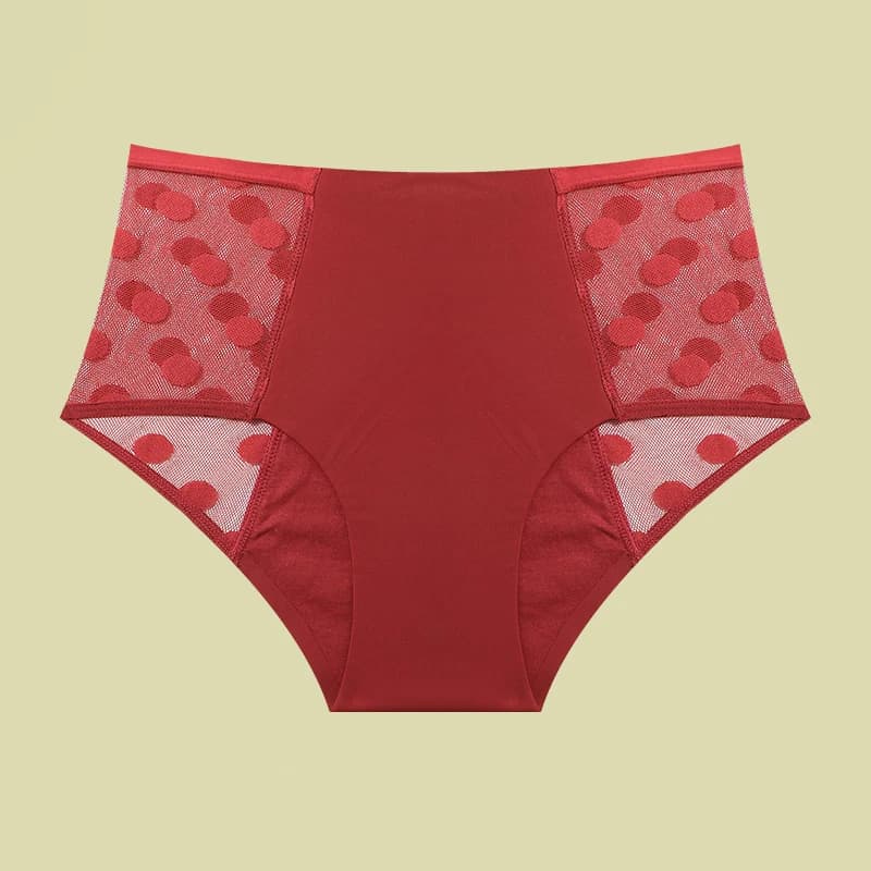 1 pièces culottes menstruelles pour femmes pantalons physiologiques sous-vêtements anti-fuite dames 