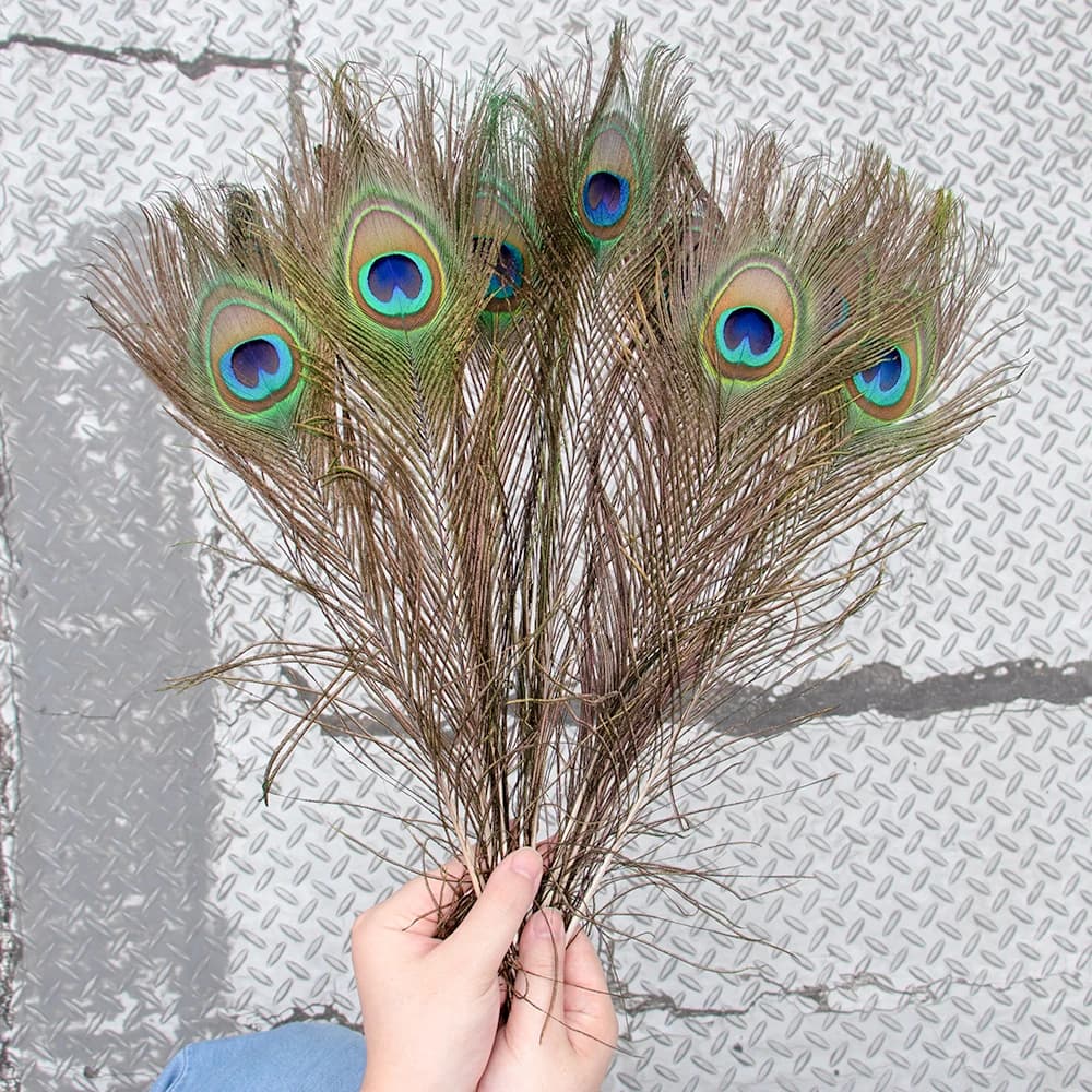 Plumes de paon naturelles 25-30 longues, pour la fabrication de bijoux artisanaux, accessoires de dé
