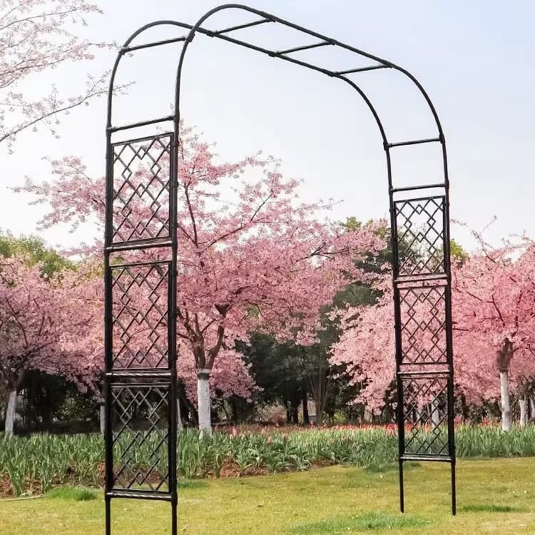 Arche de jardin treillis, structure d'escalade extérieure pour vigne, roses et plantes à fleurs
