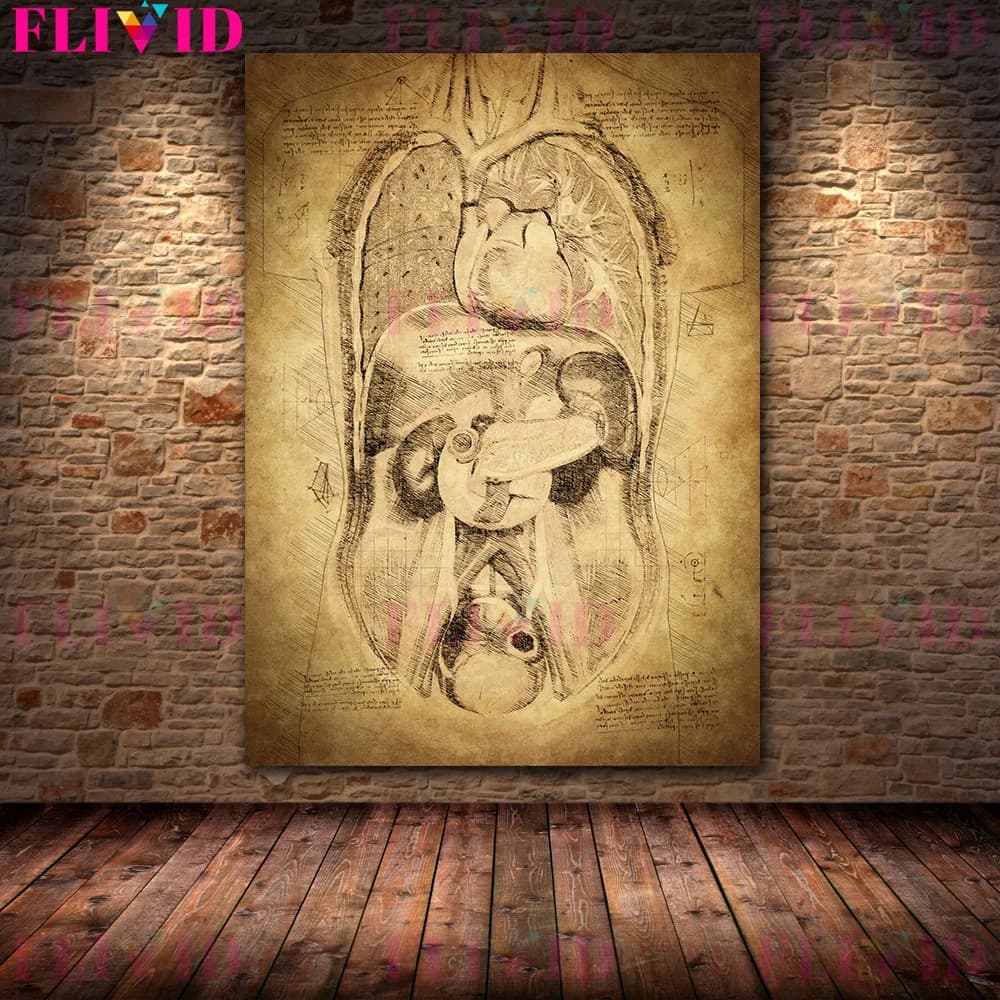 Posters d'art mural abstremberg d'organes d'anatomie humaine, peinture sur toile d'art vintage, syst