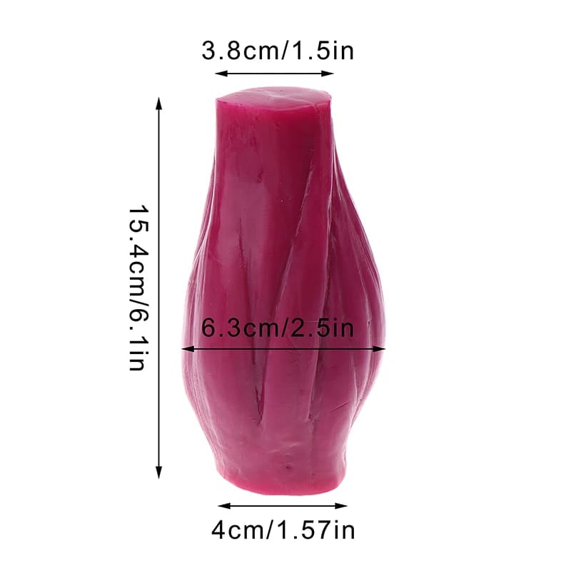 1lb Muscle : Modèle de perte de poids et de maintien de la forme pour cours de nutrition et de scien