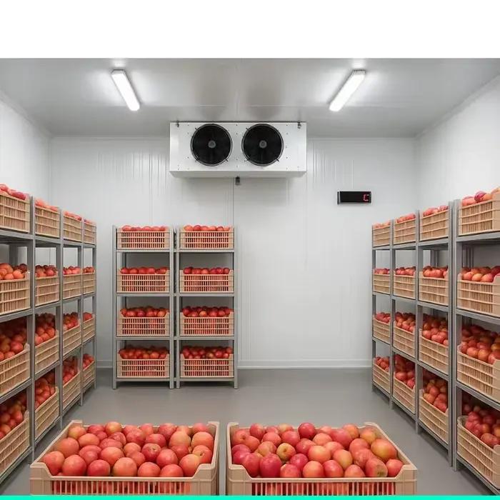 Entrepôt de stockage au froid personnalisé de qualité alimentaire, à grande échelle pour produits fr