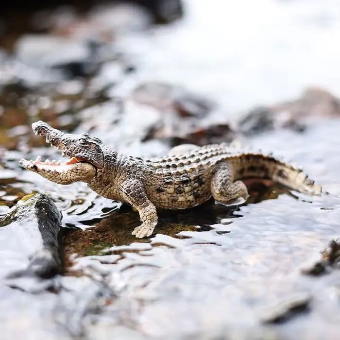 Figurine de Crocodile Alligator, modèle en plastique, jouet éducatif amusant pour garçons, filles et enfants âgés de 18 mois et plus