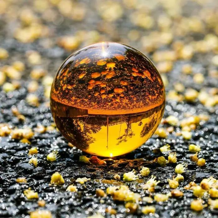 Boule de Clip Magique en Quartz Naturel, Ambre, Asiatique, Sphère de Guérison, 40/50/60mm