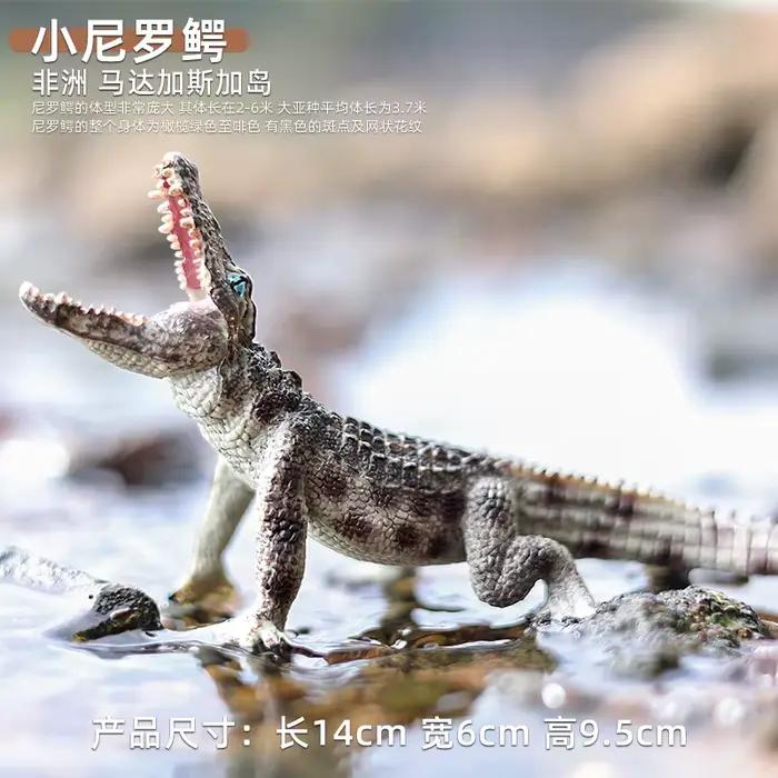 Figurine de Crocodile Alligator, modèle en plastique, jouet éducatif amusant pour garçons, filles et enfants âgés de 18 mois et plus