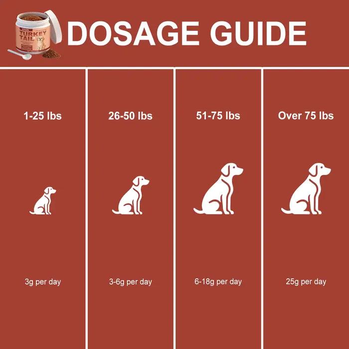 Poudre de complément nutritionnel pour chiens : Améliore la vitalité de l'animal, équilibre la flore intestinale, favorise la santé de la peau et du pelage, renforce les défenses corporelles 100g