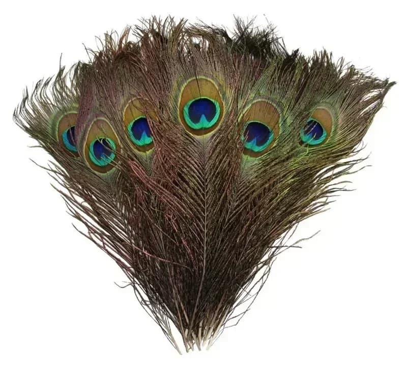 Plumes de paon 25-30CM 10-12 pouces, magnifiques plumes de paon naturelles pour artisanat, bricolage