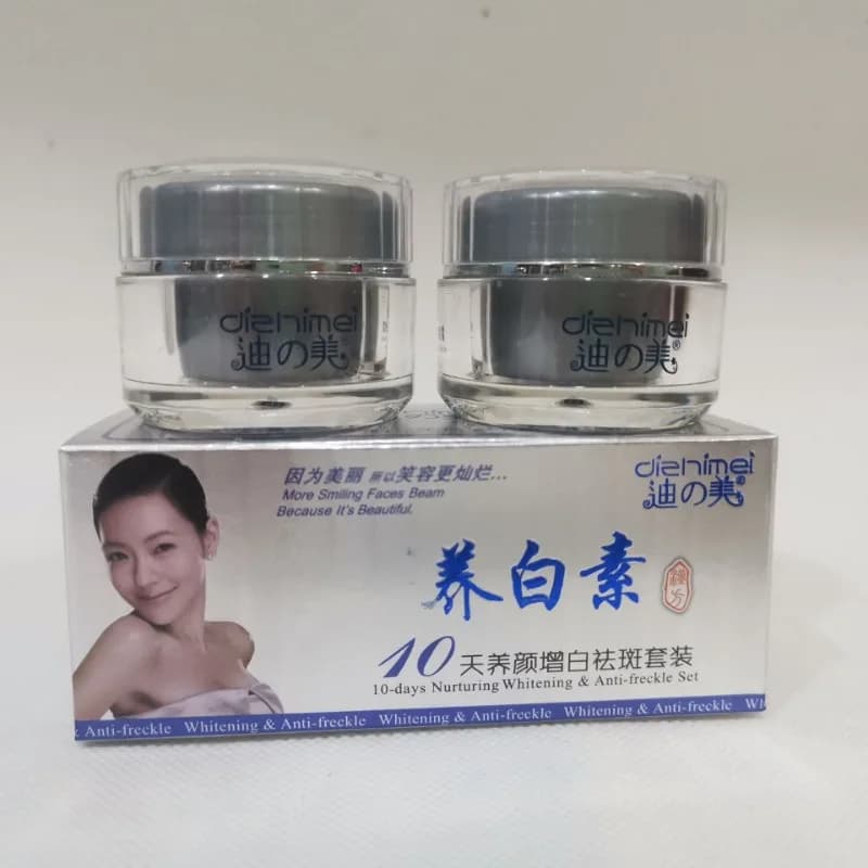DIZHIMEI 10 jours nourrissant blanchissant Anti-taches de rousseur jour et nuit crème ensemble visag