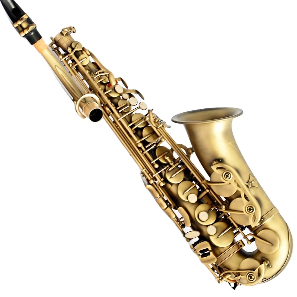 Saxophone alto archaisé professionnel avec ton EB