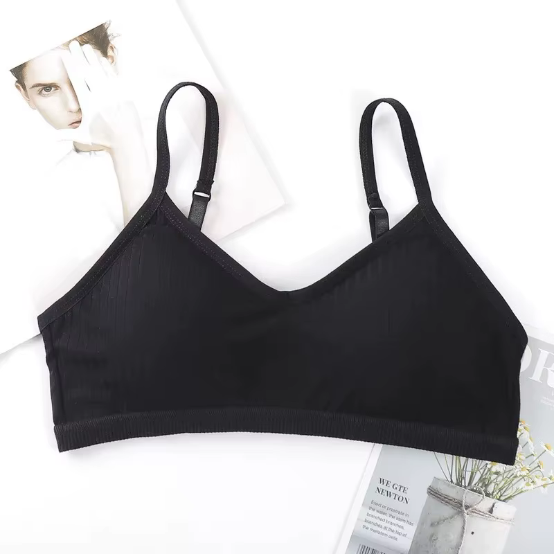 Soutien-gorge en coton pour femmes, beau dos, sous-vêtements enveloppés sur la poitrine, haut tubula