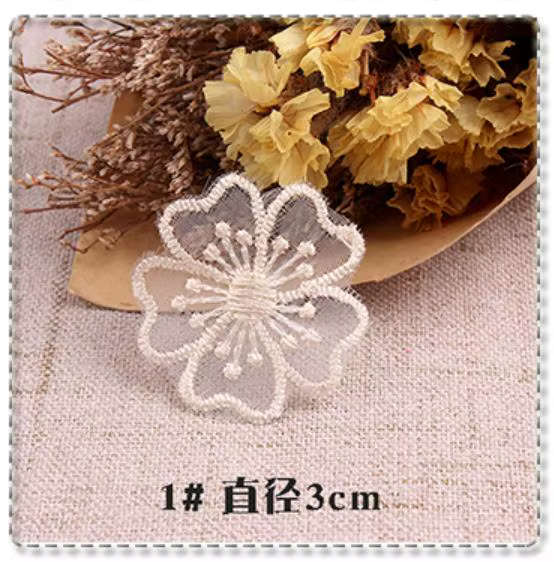 Patchs papillon paon en dentelle Beige pour vêtements, couture d'ions sur vêtements, appliques brodé