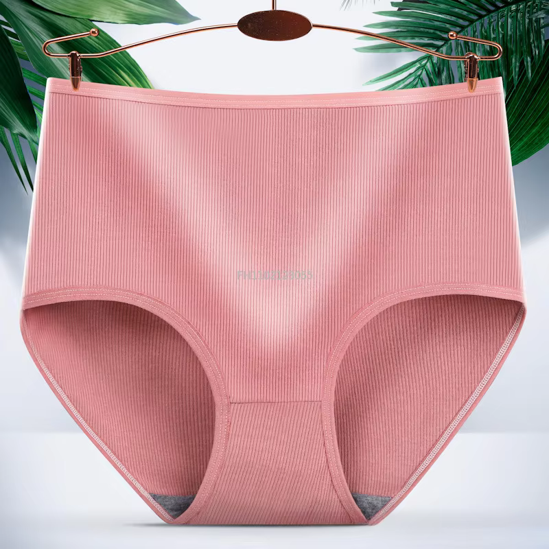 Culotte en coton taille haute pour femme, sous-vêtements féminins, modèle de fesse de transport du v