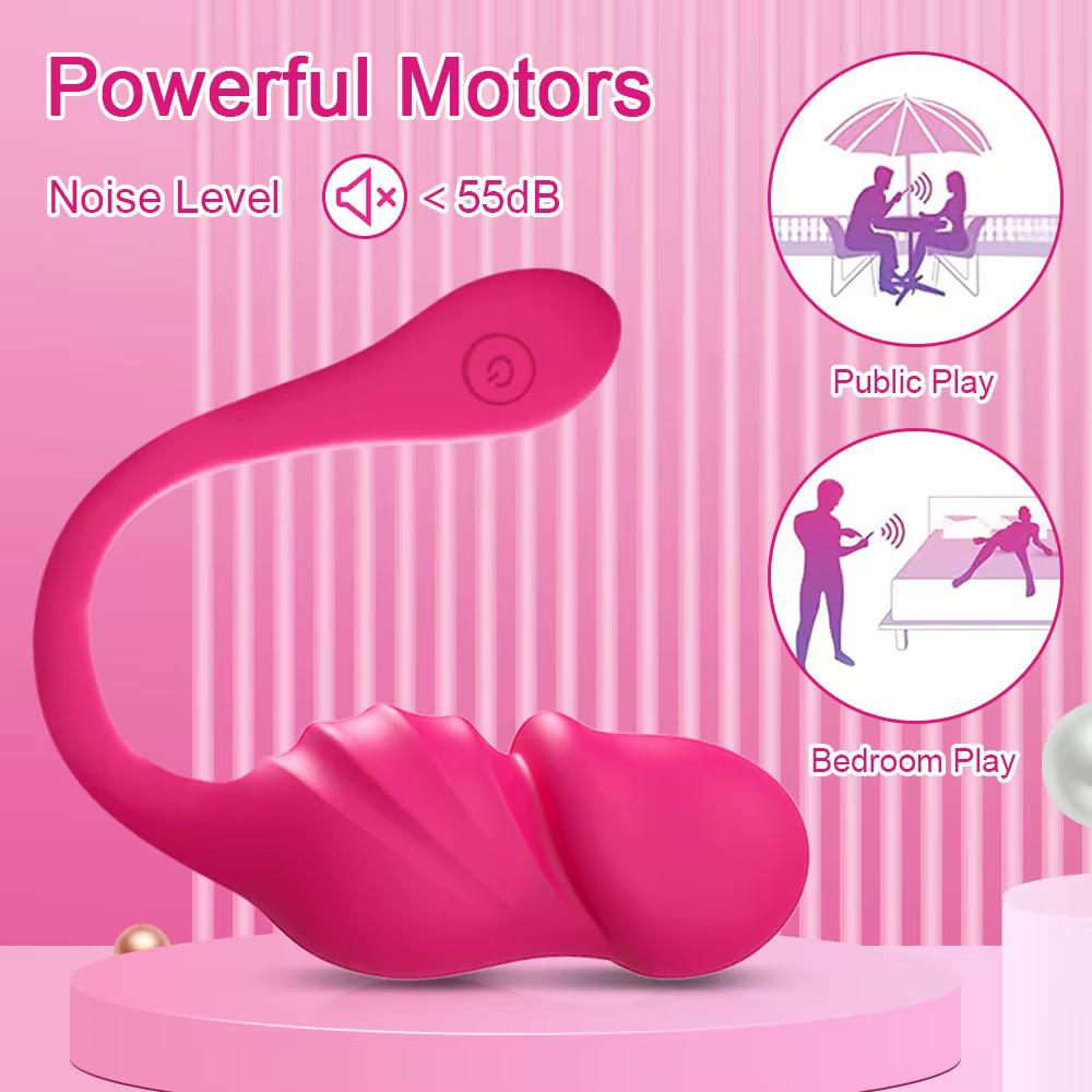 Oeuf vibrateur Bluetooth portable pour femme, gode, stimulateur de clitoris, culotte vibrante à dist