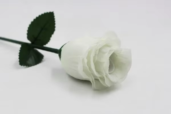 The Fire Rose 2.0 : Trucs de Magie - Une Rose Disparaît en Trois - Magie de Scène, Illusions de Fête