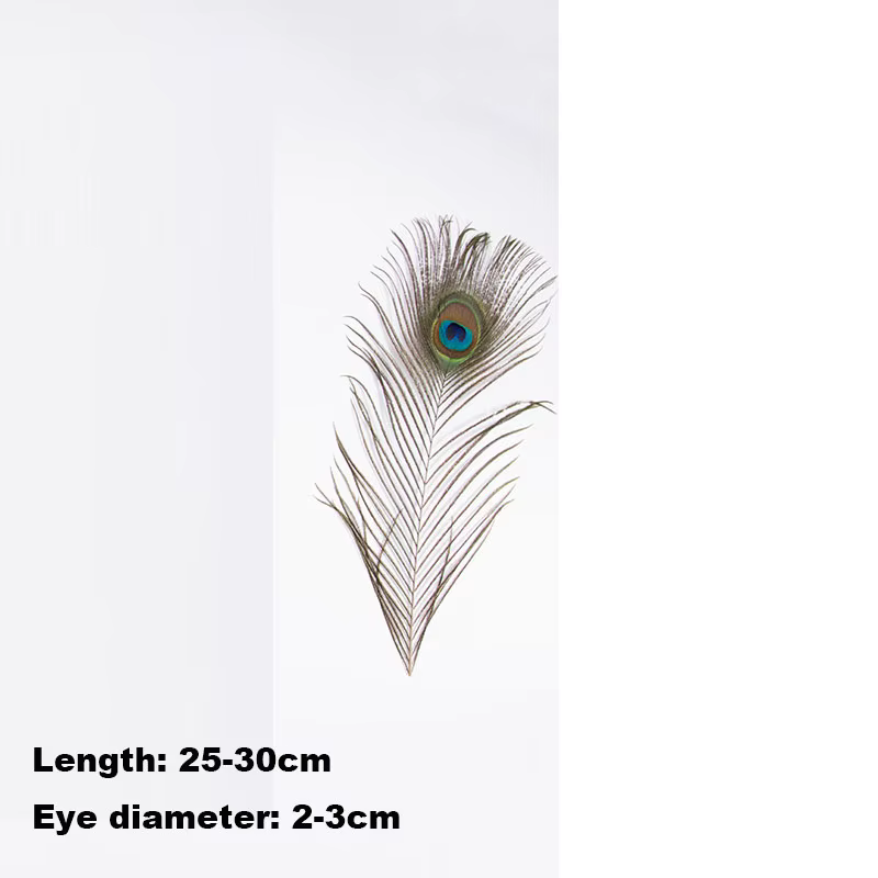 Plumes de paon 25-30cm, centres de Table, Grand/moyen/petits yeux, Plume de paon, décoration de fête