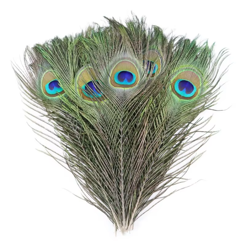Plumes de paon véritables en vrac pour artisanat DIY, décoration de vases, mariage, spectacle, carna