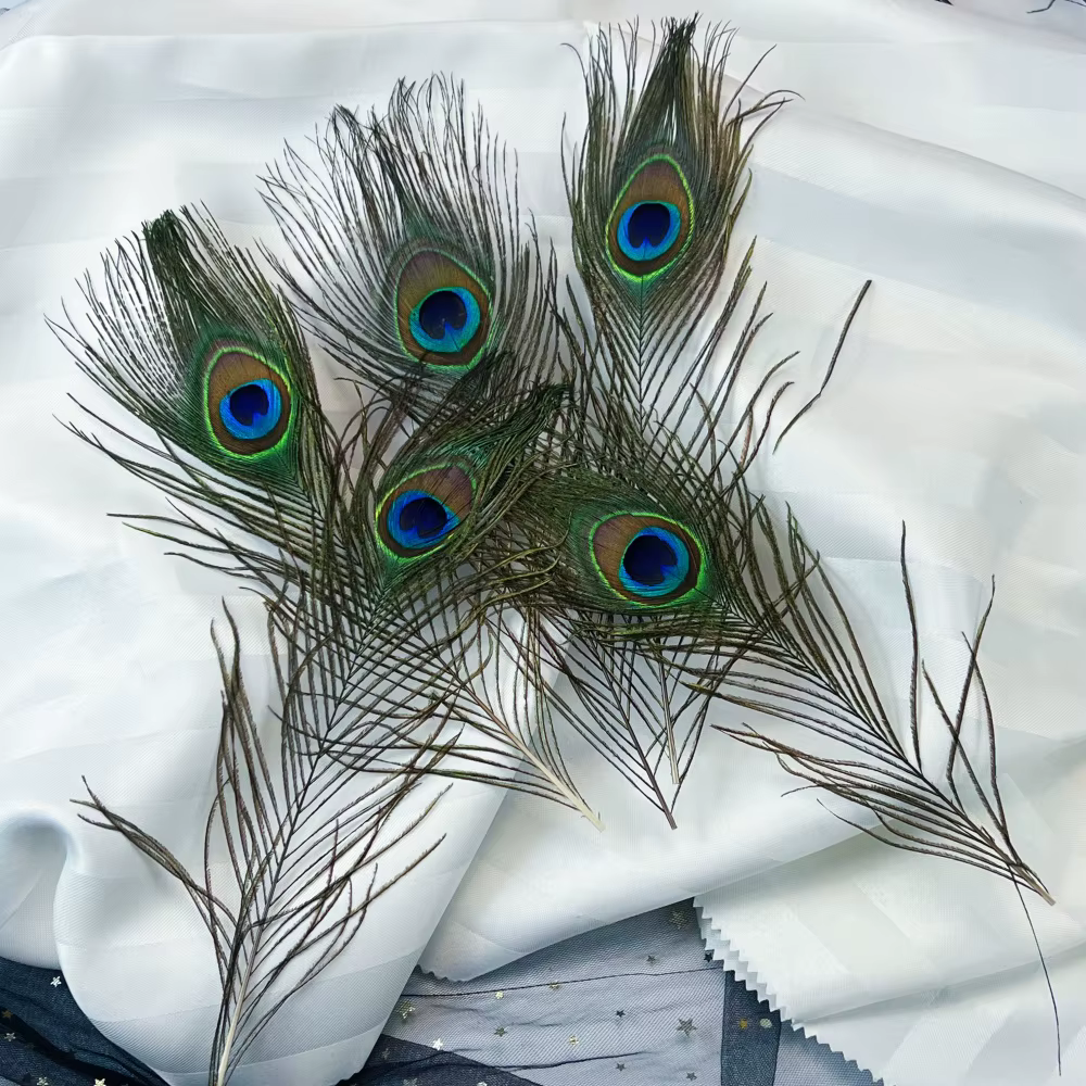 Plumes de paon naturelles, grandes et réelles, en gros, pour mariage, fête, décoration de vase, arti