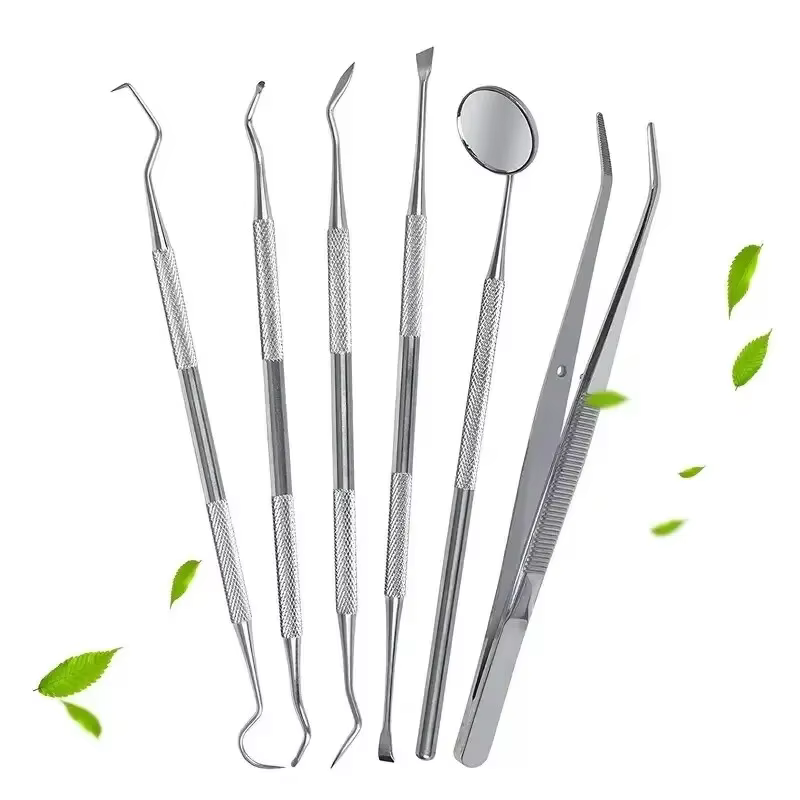 Outils buccaux de dentiste en acier inoxydable, nettoyage du fil dentaire, élimination du tartre, fa