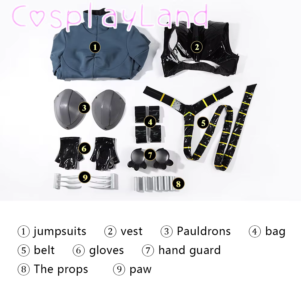 Costume de cosplay de chat sexy pour femme, combinaison de chat, accessoires complets, tenue d'anime
