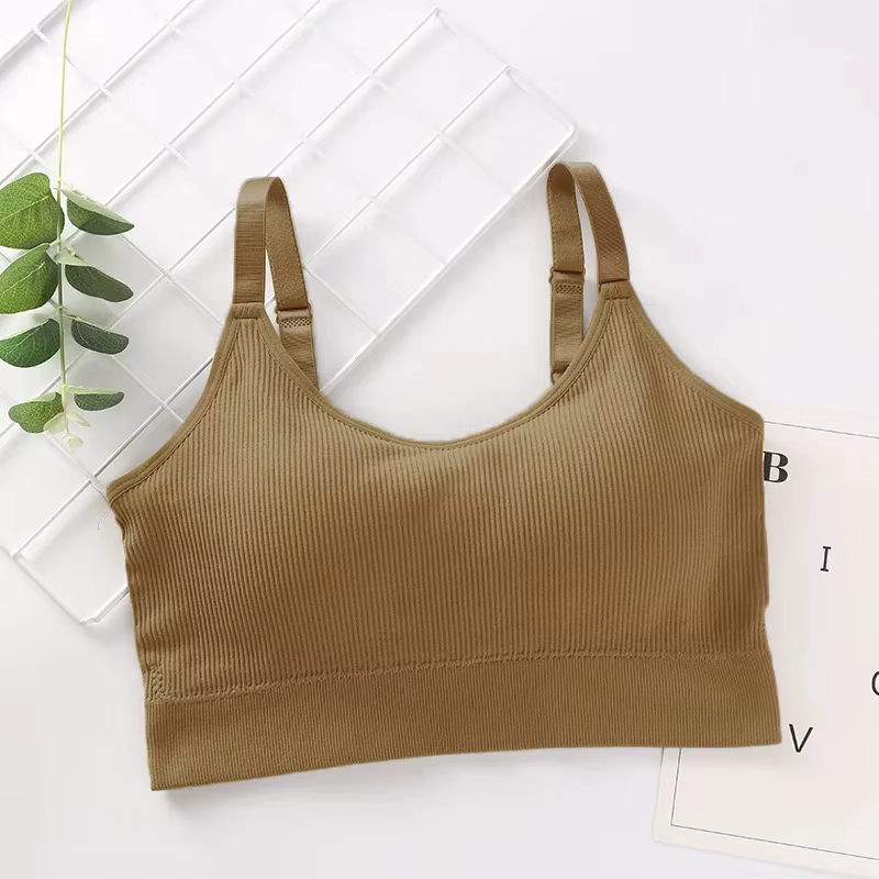 Sous-vêtements Sexy pour femmes, sans anneau en acier, Lingerie, soutien-gorge, haut tubulaire envel