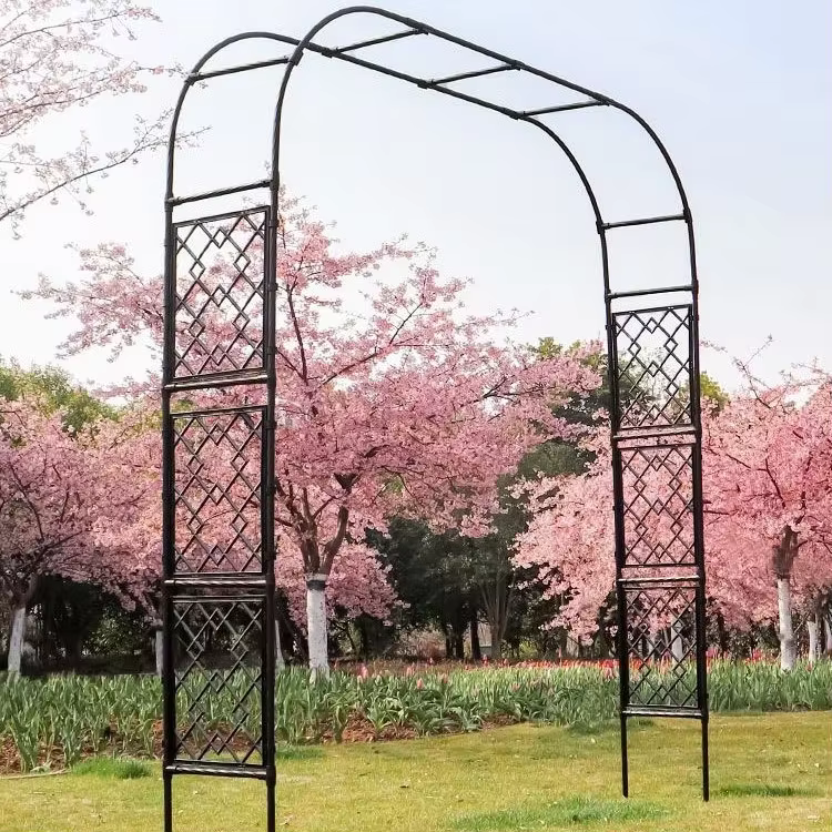 Arche de jardin treillis, structure d'escalade extérieure pour vigne, roses et plantes à fleurs