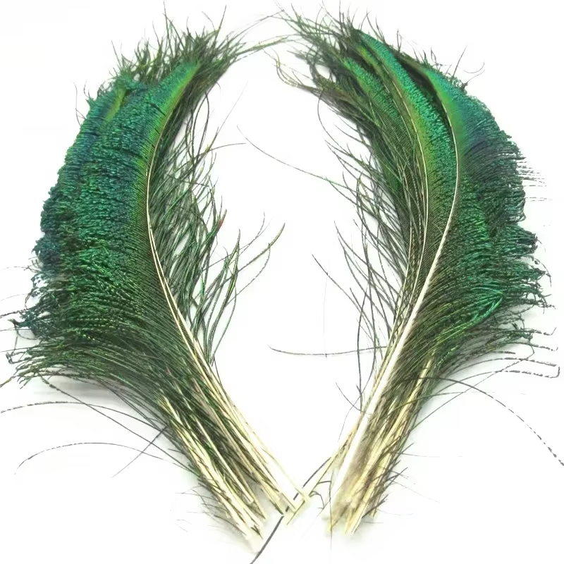 Lot de 20 Plumes de Paon, Ailes de 12-14 pouces, Plumes Artisanales, Plumes Décoratives pour Artisan