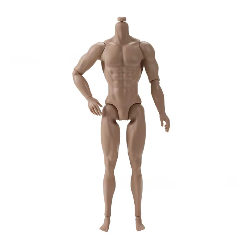 Corps masculin de 31cm de hauteur, corps de garçon MJD 1/6, peau bronzée normale, modèle de Mannequi
