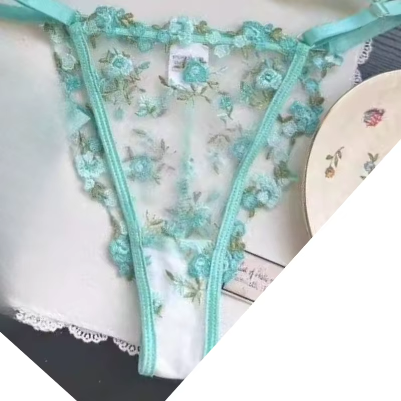 Soutien-gorge sexy en dentelle transparente avec broderie florale pour femmes, minimiseur de poitrin